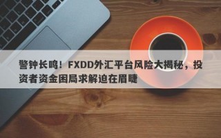 警钟长鸣！FXDD外汇平台风险大揭秘，投资者资金困局求解迫在眉睫