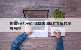 揭露Vistova：这些离谱操作背后的潜在风险