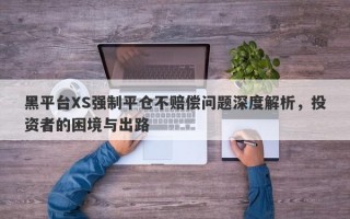 黑平台XS强制平仓不赔偿问题深度解析，投资者的困境与出路