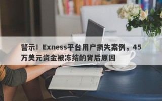 警示！Exness平台用户损失案例，45万美元资金被冻结的背后原因