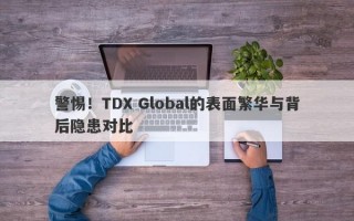 警惕！TDX Global的表面繁华与背后隐患对比