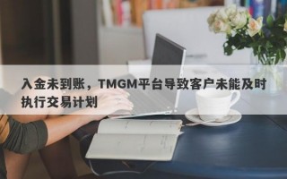 入金未到账，TMGM平台导致客户未能及时执行交易计划