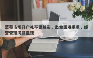 蓝莓市场开户礼不见踪影，出金困难重重，经营管理问题显现