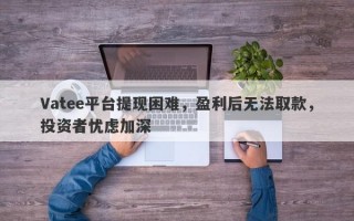 Vatee平台提现困难，盈利后无法取款，投资者忧虑加深