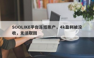 SOOLIKE平台冻结账户，4k盈利被没收，无法取回