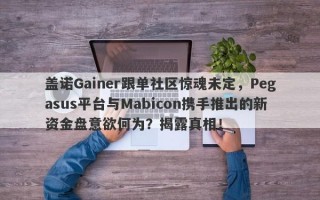 盖诺Gainer跟单社区惊魂未定，Pegasus平台与Mabicon携手推出的新资金盘意欲何为？揭露真相！