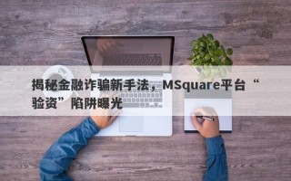 揭秘金融诈骗新手法，MSquare平台“验资”陷阱曝光