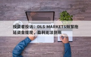 投资者投诉：DLS MARKETS频繁拖延资金提现，盈利无法到账