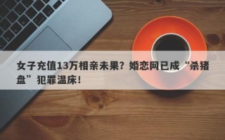 女子充值13万相亲未果？婚恋网已成“杀猪盘”犯罪温床！