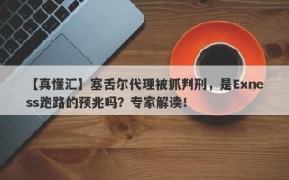 【真懂汇】塞舌尔代理被抓判刑，是Exness跑路的预兆吗？专家解读！