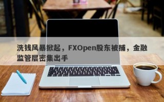 洗钱风暴掀起，FXOpen股东被捕，金融监管层密集出手