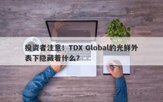 投资者注意！TDX Global的光鲜外表下隐藏着什么？