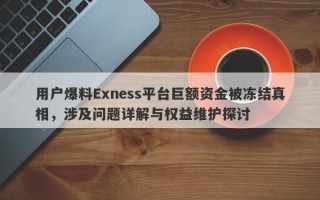 用户爆料Exness平台巨额资金被冻结真相，涉及问题详解与权益维护探讨