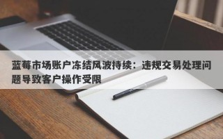 蓝莓市场账户冻结风波持续：违规交易处理问题导致客户操作受限