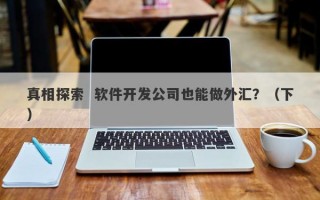 真相探索  软件开发公司也能做外汇？（下）