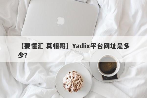 【要懂汇 真相哥】Yadix平台网址是多少？
-第1张图片-要懂汇圈网