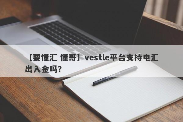 【要懂汇 懂哥】vestle平台支持电汇出入金吗？
-第1张图片-要懂汇圈网