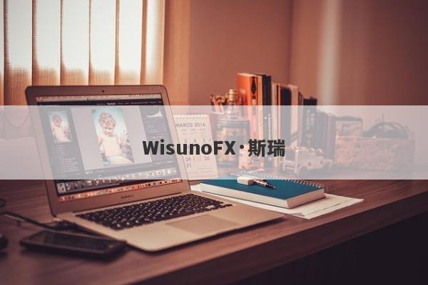 WisunoFX·斯瑞-第1张图片-要懂汇圈网