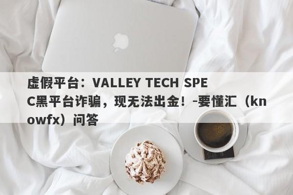 虚假平台：VALLEY TECH SPEC黑平台诈骗，现无法出金！-要懂汇（knowfx）问答-第1张图片-要懂汇圈网