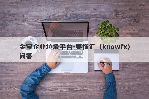 金宝企业垃圾平台-要懂汇（knowfx）问答-第1张图片-要懂汇圈网