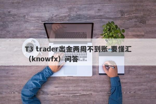 T3 trader出金两周不到账-要懂汇（knowfx）问答-第1张图片-要懂汇圈网