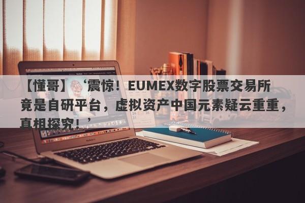 【懂哥】‘震惊！EUMEX数字股票交易所竟是自研平台，虚拟资产中国元素疑云重重，真相探究！’-第1张图片-要懂汇圈网