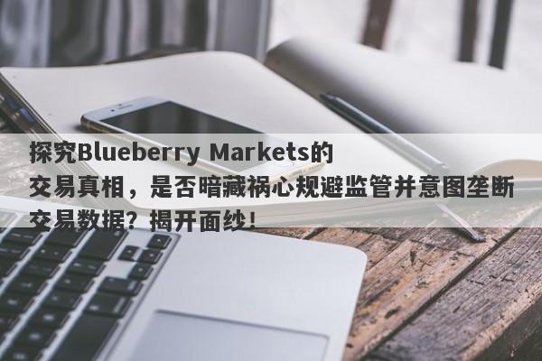 探究Blueberry Markets的交易真相，是否暗藏祸心规避监管并意图垄断交易数据？揭开面纱！-第1张图片-要懂汇圈网