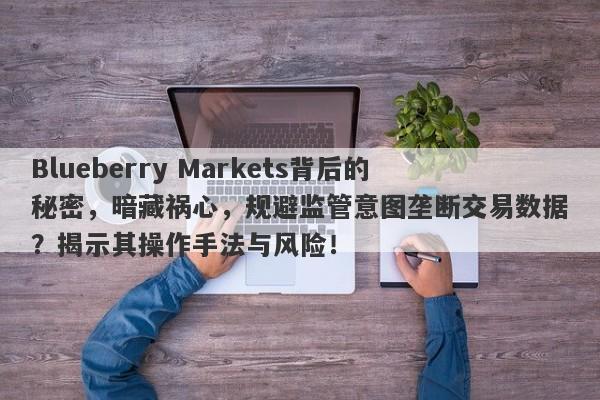 Blueberry Markets背后的秘密，暗藏祸心，规避监管意图垄断交易数据？揭示其操作手法与风险！-第1张图片-要懂汇圈网