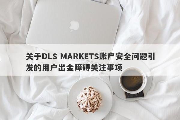 关于DLS MARKETS账户安全问题引发的用户出金障碍关注事项-第1张图片-要懂汇圈网