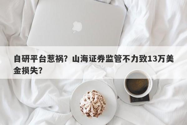 自研平台惹祸？山海证券监管不力致13万美金损失？-第1张图片-要懂汇圈网