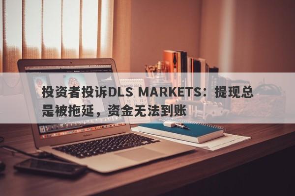 投资者投诉DLS MARKETS：提现总是被拖延，资金无法到账-第1张图片-要懂汇圈网