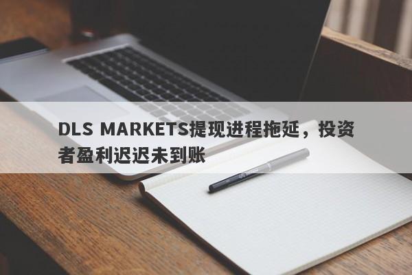 DLS MARKETS提现进程拖延，投资者盈利迟迟未到账-第1张图片-要懂汇圈网